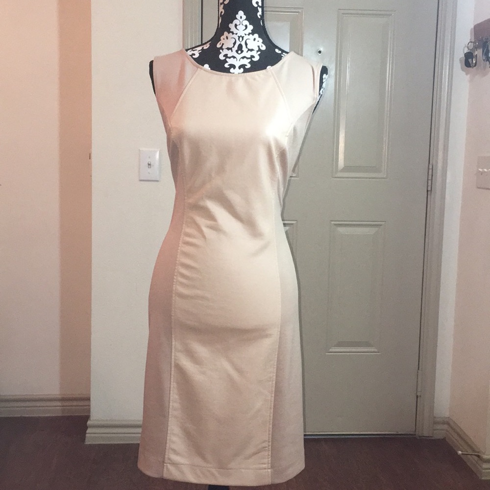Faux Leather Panel Dress